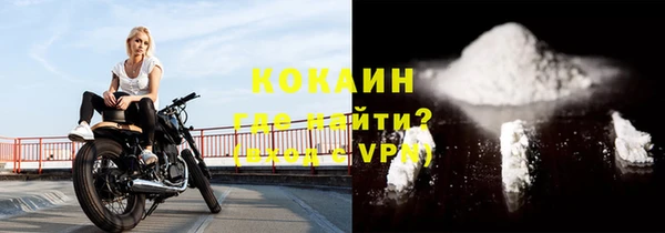 гидра Абаза