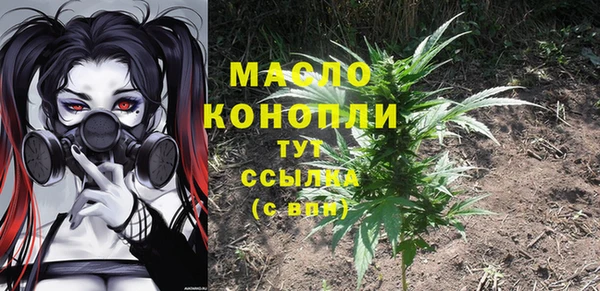 гидра Абаза