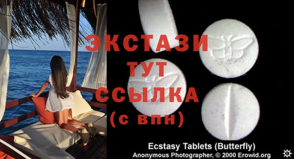 гидра Абаза