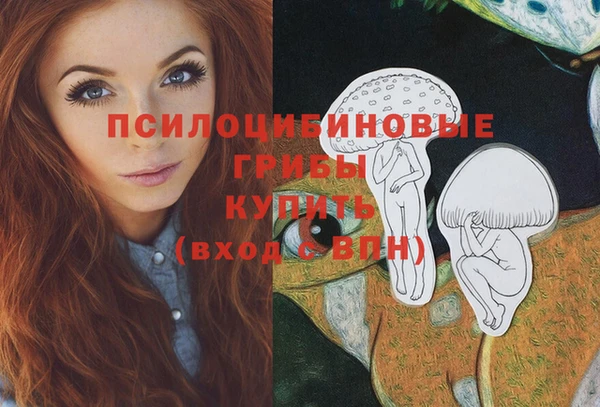 индика Сатка