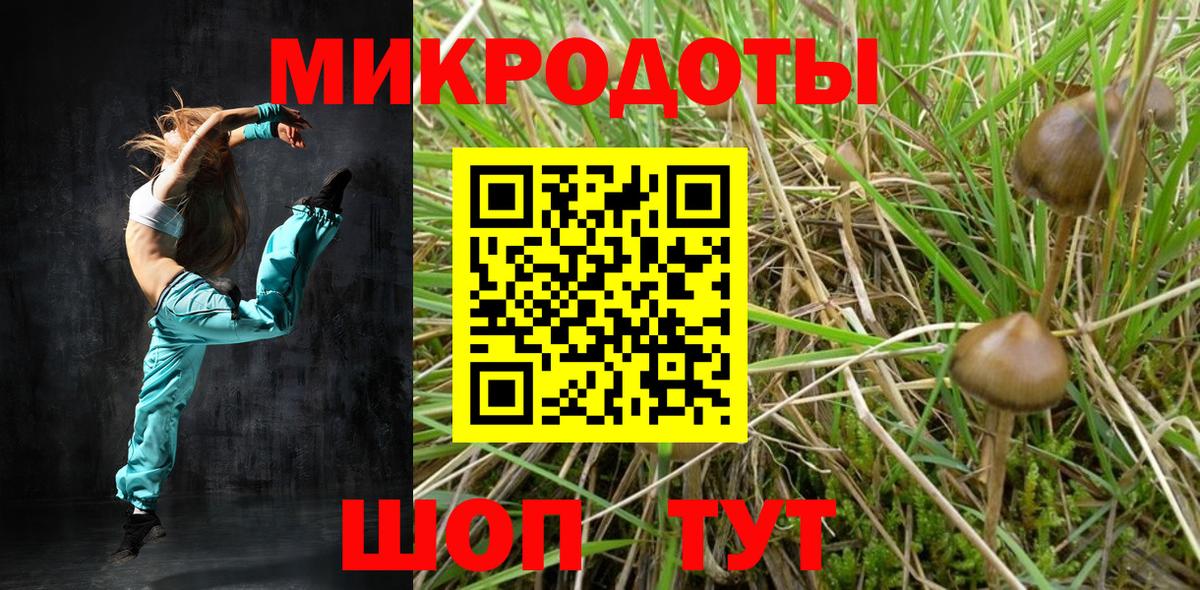 Псилоцибиновые грибы мухоморы Донской