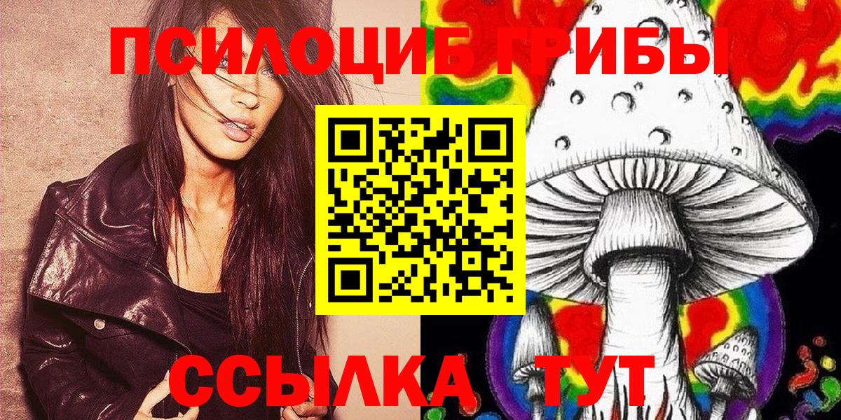 купить   Вход с VPN  Донской  Галлюциногенные грибы Cubensis 